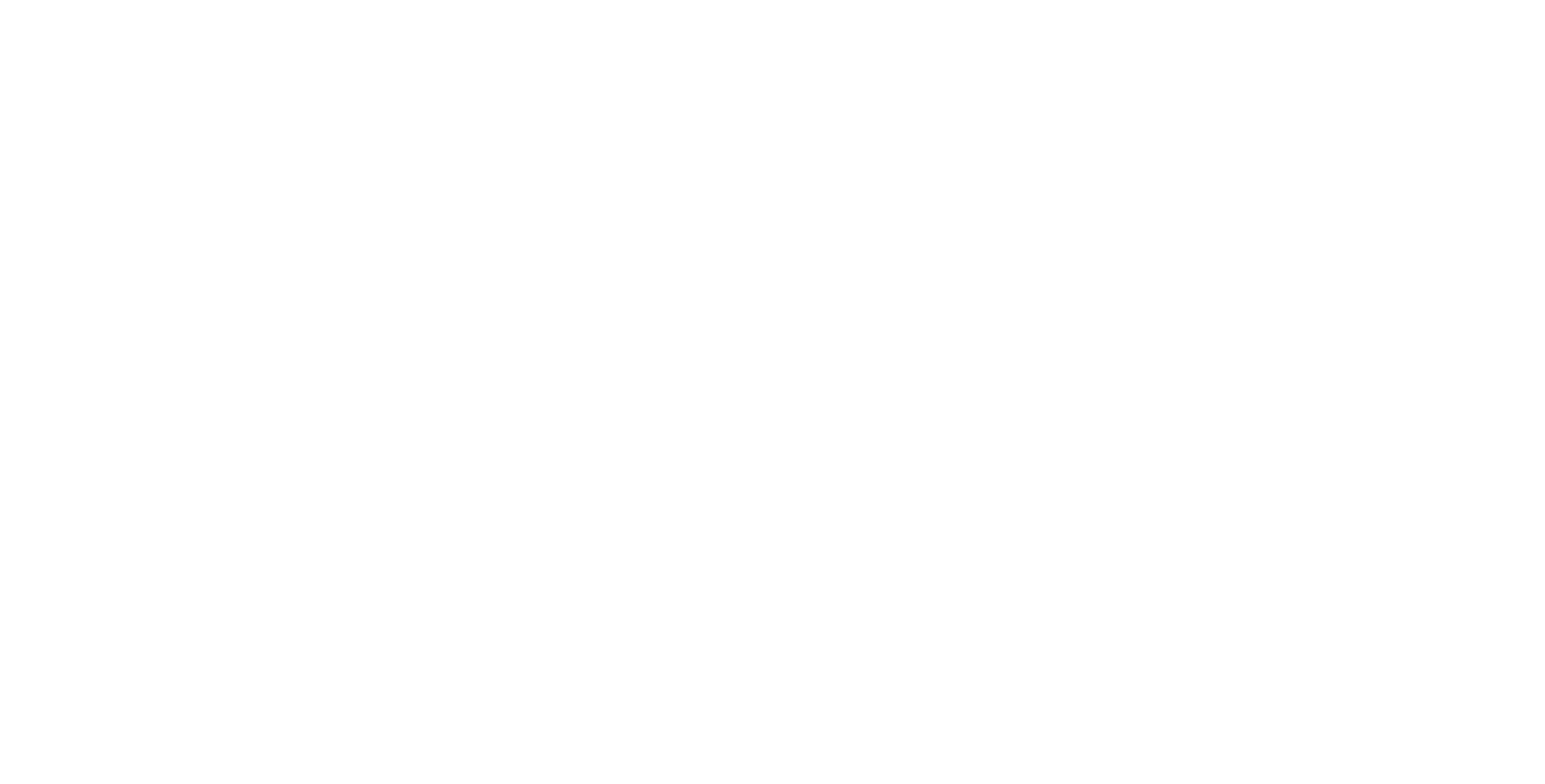 First European Logo